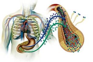 Danos ao páncreas en diabetes mellitus